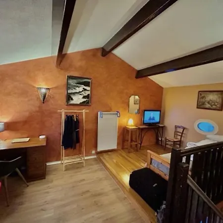 Maison 2 Pieces/mezzanine Avec Jardin Et Piscine, A Deux Pas De La De - Fr-1-246-552